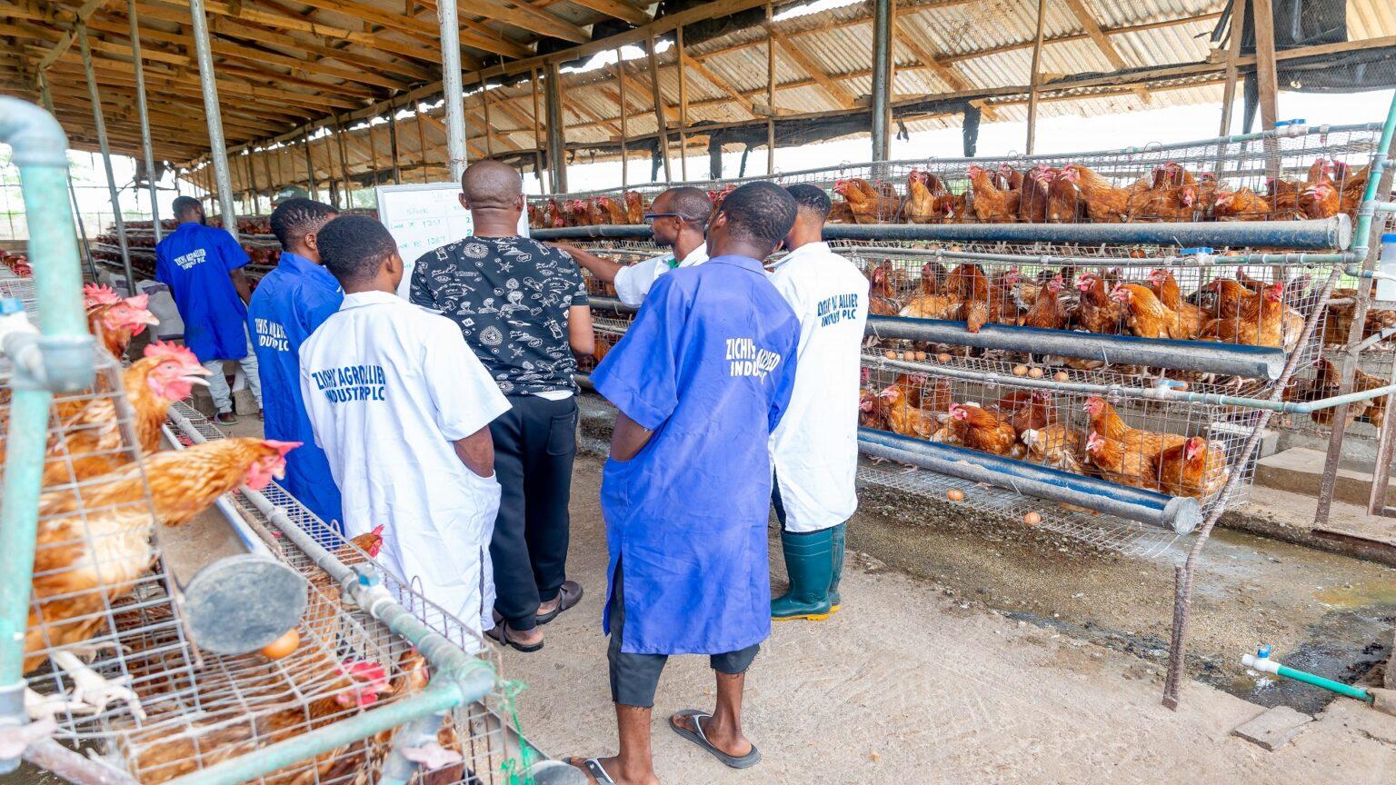 Agro-allied firm records 119% turnover, declares dividend